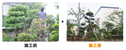 ナオキ工務店の造園　樹木・植木の移動や剪定・刈り込み